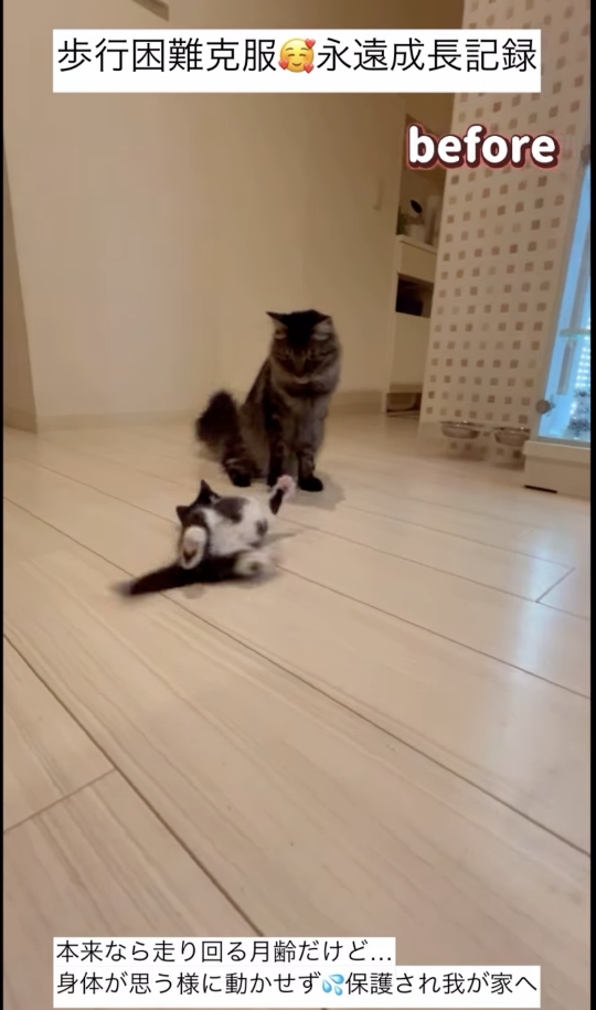 タイトルが入ります。