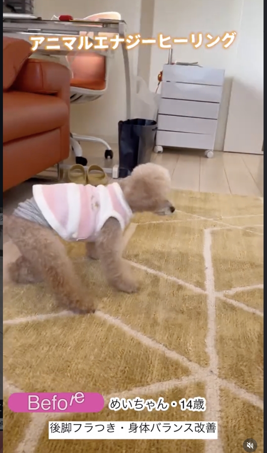 タイトルが入ります。