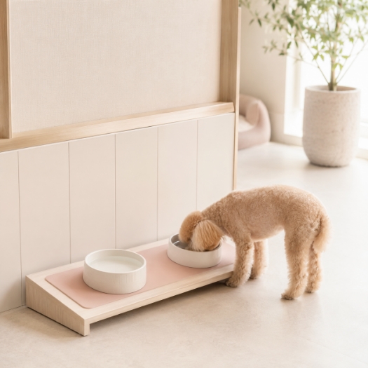 犬の一時預かり・デイケア